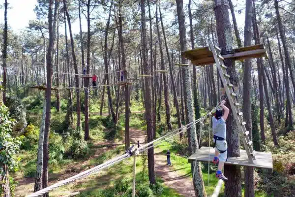 parc foret de robin