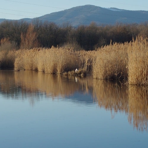 parc naturels autour soulac