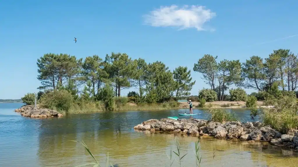 Paddle sur le lac d’Hourtin-Carcans, entre pins et enrochements